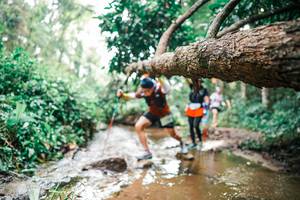 BIB: 
                            <button type="button" onclick="openModal(25375891)" class="btn btn-primary btn-sm float-right btn-popup" data-toggle="modal" data-target=".modal-high-quality">
                        <i class="fas fa-shopping-cart"></i> Add to Cart
                    </button>
                                            <button type="button" onclick="isThisMe(25375891, true)" class="btn btn-success btn-sm float-right btn-popup btn-isme hidden" data-toggle="tooltip" data-placement="bottom" title="นี่คือรูปของคุณใช่ไหม คลิกที่นี่เพื่อเอาเข้าอัลบั้ม">
                        <i class="fas fa-plus"></i> Add to album
                    </button>
                    <button type="button" onclick="isThisMe(25375891, false)" class="btn btn-warning btn-sm float-right btn-popup btn-isnotme hidden">
                        <i class="fas fa-ban"></i> Remove from album
                    </button>